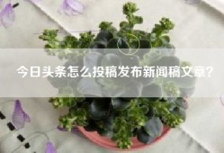 今日头条怎么投稿发布新闻稿文章？