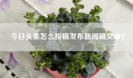 今日头条怎么投稿发布新闻稿文章？