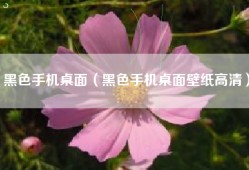 黑色手机桌面（黑色手机桌面壁纸高清）