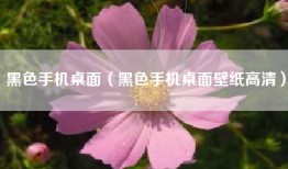 黑色手机桌面（黑色手机桌面壁纸高清）