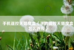 手机遥控天猫魔盒（手机遥控天猫魔盒怎么连接）