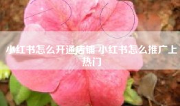 小红书怎么开通店铺 小红书怎么推广上热门
