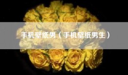 手机壁纸男（手机壁纸男生）