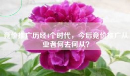 竞价推广历经4个时代，今后竞价推广从业者何去何从？