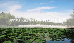 OPPOA11s支持NFC吗-有红外功能吗