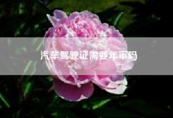 汽车驾驶证需要年审吗
