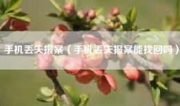 手机丢失报案（手机丢失报案能找回吗）