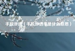 手机渗透（手机渗透率是什么意思）