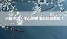 手机渗透（手机渗透率是什么意思）