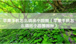 苹果手机怎么调出小圆圈（苹果手机怎么调出小圆圈图标）