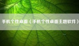 手机个性桌面（手机个性桌面主题软件）