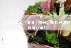 这块老城区“价值”提升，规划已通过专家评审！