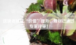 这块老城区“价值”提升，规划已通过专家评审！