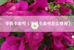 手机卡串号（手机卡串号怎么查询）