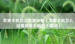 苹果手机怎么设置来电（苹果手机怎么设置来电不响也不震动）