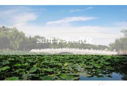 2021年学习SEO优化