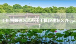 手机被限速怎么办（手机限速怎么办oppo）