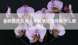 手机文件合并（手机文件合并是什么意思）