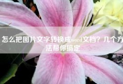 怎么把图片文字转换成word文档？几个方法帮你搞定