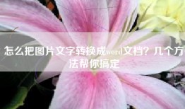怎么把图片文字转换成word文档？几个方法帮你搞定