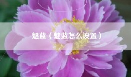 魅蓝（魅蓝怎么设置）