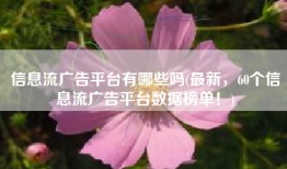 信息流广告平台有哪些吗(最新，60个信息流广告平台数据榜单！)