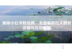 揭秘小红书粉丝榜，全面解析红人粉丝详情与互动数据