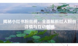 揭秘小红书粉丝榜，全面解析红人粉丝详情与互动数据