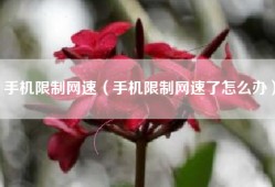 手机限制网速（手机限制网速了怎么办）