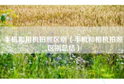 手机和相机拍照区别（手机和相机拍照区别总结）