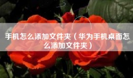 手机怎么添加文件夹(华为手机桌面怎么添加文件夹)