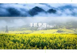 手机更改ip