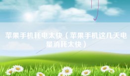 苹果手机耗电太快（苹果手机这几天电量消耗太快）