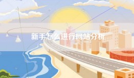 新手怎么进行网站分析