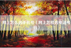 网上怎么选手机号（网上怎样选电话号码）