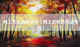 网上怎么选手机号（网上怎样选电话号码）