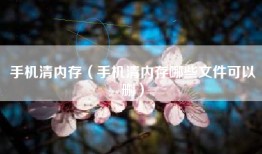 手机清内存（手机清内存哪些文件可以删）