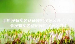 手机没有实名认证停机了怎么办（手机卡没有实名登记停机了怎么办）