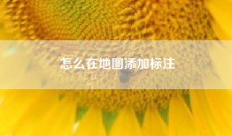 怎么在地图添加标注