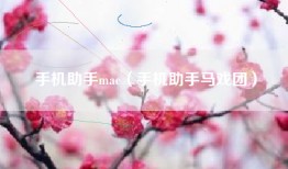 手机助手mac（手机助手马戏团）
