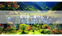 亚马逊seo是什么