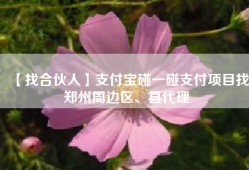 【找合伙人】支付宝碰一碰支付项目找郑州周边区、县代理