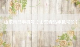 山东青岛手机号（山东青岛手机号段）