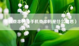 手机查串码（手机查串码是什么意思）