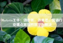Marketin王华：效率低，效果差，营销行业痛点需用开放平台解决