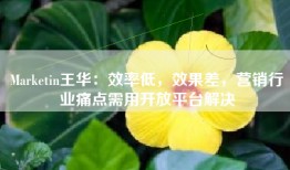 Marketin王华：效率低，效果差，营销行业痛点需用开放平台解决