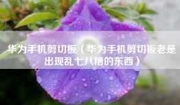 华为手机剪切板（华为手机剪切板老是出现乱七八糟的东西）