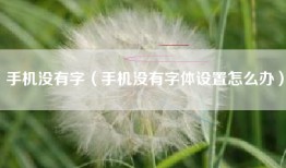 手机没有字（手机没有字体设置怎么办）