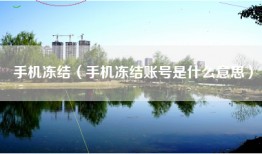 手机冻结（手机冻结账号是什么意思）