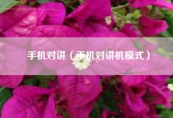 手机对讲（手机对讲机模式）